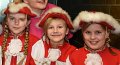 Alverdissen Karneval 2020  (19)